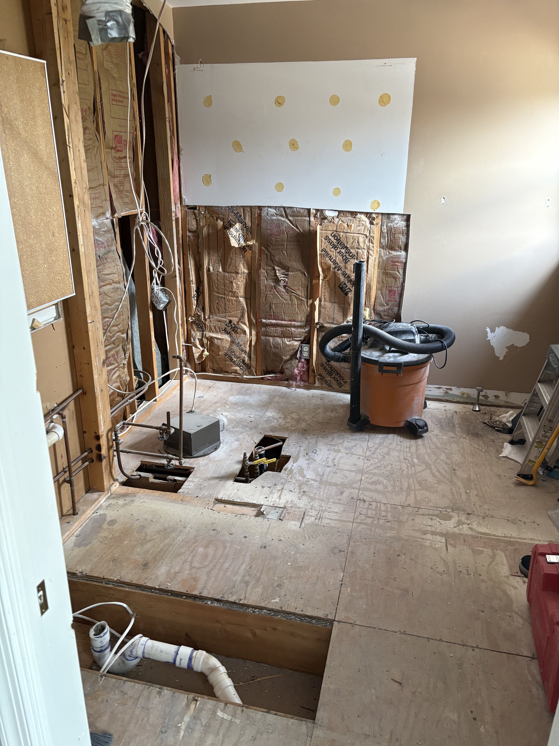 Primary bath taken to the studs during demolition